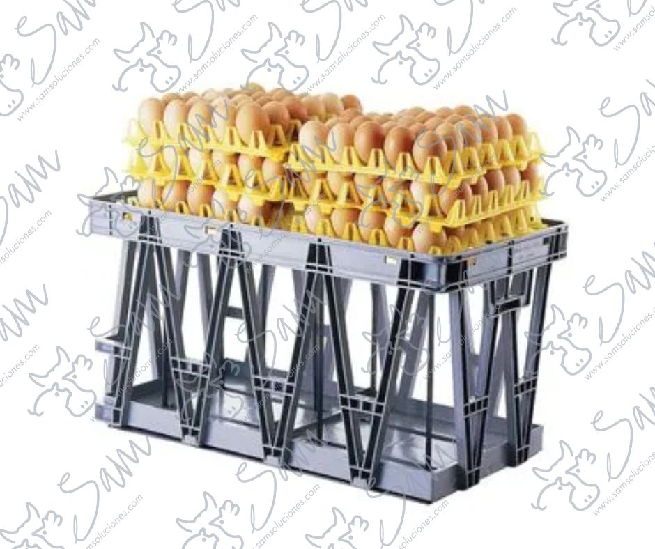 Caja plástica para transporte de huevos en color gris