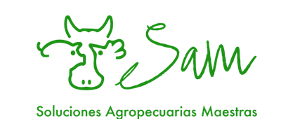 SAM SOLUCIONES